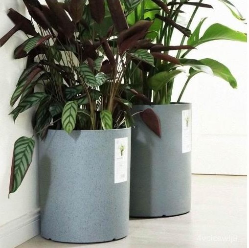 盆器示意圖